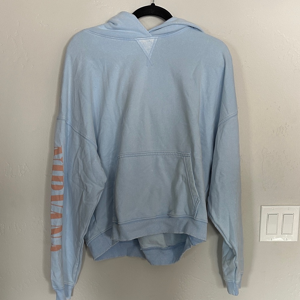 American Eagle Outfitters Sky Blue Hoodie